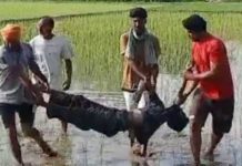 ਗੁਰਦਾਸਪੁਰ ਦੇ ਖੇਤਾਂ ‘ਚ ਸਵੇਰੇ-ਸਵੇਰੇ ਮਿਲੀਆਂ 2 ਲਾਸ਼ਾਂ, ਸਿਰ ‘ਤੇ ਸੱਟ ਮਾਰ ਕੇ ਹੋਏ ਮਰਡਰ