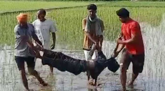 ਗੁਰਦਾਸਪੁਰ ਦੇ ਖੇਤਾਂ ‘ਚ ਸਵੇਰੇ-ਸਵੇਰੇ ਮਿਲੀਆਂ 2 ਲਾਸ਼ਾਂ, ਸਿਰ ‘ਤੇ ਸੱਟ ਮਾਰ ਕੇ ਹੋਏ ਮਰਡਰ