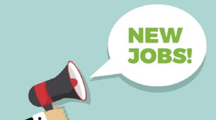 ਪੰਜਾਬ ਦੇ ਇਸ ਵਿਭਾਗ ‘ਚ ਨਿਕਲੀਆਂ ਸਰਕਾਰੀ ਨੌਕਰੀਆਂ, ਆਨਲਾਈਨ ਕਰੋ ਅਪਲਾਈ, ਪੜ੍ਹੋ ਵੈੱਬਸਾਈਟ ‘ਤੇ ਪੂਰਾ ਵੇਰਵਾ