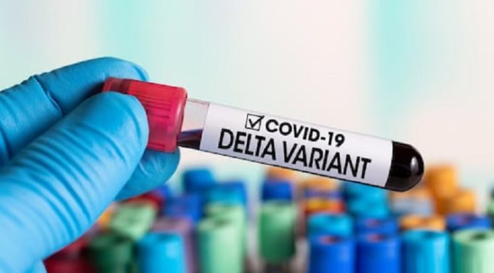 ਕੋਰੋਨਾ ਦੇ ਨਵੇਂ ਡੇਲਟਾ ਪਲੱਸ ਵੈਰੀਅੰਟ ਦੇ 12 ਸੂਬਿਆਂ ‘ਚ 51 ਕੇਸ ਮਿਲੇ, 2 ਪੰਜਾਬ ਤੋਂ
