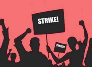 ਜਲੰਧਰ ‘ਚ ਅੱਜ ਨਾ ਤਾਂ ਸਰਕਾਰੀ ਬੱਸਾਂ ਚੱਲਣਗੀਆਂ ਨਾ ਹੀ ਸਿਵਿਲ ਹਸਪਤਾਲ ‘ਚ ਹੋਵੇਗਾ ਇਲਾਜ