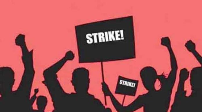 ਜਲੰਧਰ ‘ਚ ਅੱਜ ਨਾ ਤਾਂ ਸਰਕਾਰੀ ਬੱਸਾਂ ਚੱਲਣਗੀਆਂ ਨਾ ਹੀ ਸਿਵਿਲ ਹਸਪਤਾਲ ‘ਚ ਹੋਵੇਗਾ ਇਲਾਜ