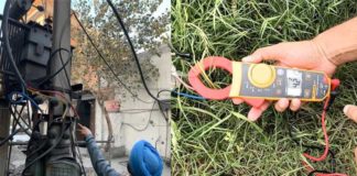 ਜੂਨ ‘ਚ ਬਿਜਲੀ ਵਿਭਾਗ ਨੇ 6041 ਕੇਸਾਂ ‘ਚ 1523.32 ਲੱਖ ਜੁਰਮਾਨਾ ਲਗਾਇਆ, 96461-75770 ‘ਤੇ ਕਰ ਸਕਦੇ ਹੋ ਬਿਜਲੀ ਚੋਰੀ ਦੀ ਸ਼ਿਕਾਇਤ