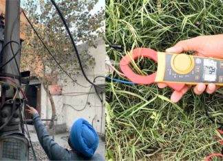 ਜੂਨ ‘ਚ ਬਿਜਲੀ ਵਿਭਾਗ ਨੇ 6041 ਕੇਸਾਂ ‘ਚ 1523.32 ਲੱਖ ਜੁਰਮਾਨਾ ਲਗਾਇਆ, 96461-75770 ‘ਤੇ ਕਰ ਸਕਦੇ ਹੋ ਬਿਜਲੀ ਚੋਰੀ ਦੀ ਸ਼ਿਕਾਇਤ