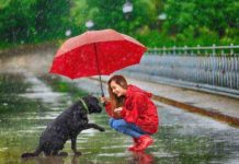 Weather Update : ਅੱਜ ਹੋ ਸਕਦੀ ਹੈ ਬੂੰਦਾਬਾਂਦੀ, ਅਗਲੇ 4-5 ਦਿਨਾਂ ਤੱਕ ਭਾਰੀ ਮੀਂਹ ਪੈਣ ਦੀ ਸੰਭਾਵਨਾ, ਪੜ੍ਹੋ ਡਿਟੇਲ ‘ਚ ਜਾਣਕਾਰੀ