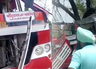 ਅਬੋਹਰ ‘ਚ ਬੱਸ ਦਰੱਖਤ ‘ਚ ਵੱਜੀ, ਇੱਕ ਦੀ ਮੌਤ