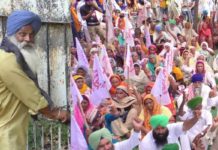 ਬਿਜਲੀ ਕੱਟਾਂ ਤੋਂ ਪ੍ਰੇਸ਼ਾਨ ਕਿਸਾਨਾਂ ਨੇ ਜਲੰਧਰ ਦੇ ਸ਼ਕਤੀ ਸਦਨ ਦਫਤਰ ਅੰਦਰ ਮੁਲਾਜ਼ਮ ਡੱਕੇ, ਕਿਹਾ- ਜਦੋਂ ਤੱਕ ਬੱਤੀ ਨਹੀਂ ਆਉਂਦੀ ਸਾਡੇ ਨਾਲ ਹੀ ਰੁਕੋ