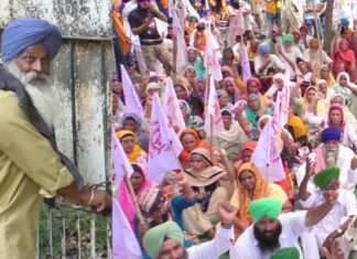 ਬਿਜਲੀ ਕੱਟਾਂ ਤੋਂ ਪ੍ਰੇਸ਼ਾਨ ਕਿਸਾਨਾਂ ਨੇ ਜਲੰਧਰ ਦੇ ਸ਼ਕਤੀ ਸਦਨ ਦਫਤਰ ਅੰਦਰ ਮੁਲਾਜ਼ਮ ਡੱਕੇ, ਕਿਹਾ- ਜਦੋਂ ਤੱਕ ਬੱਤੀ ਨਹੀਂ ਆਉਂਦੀ ਸਾਡੇ ਨਾਲ ਹੀ ਰੁਕੋ