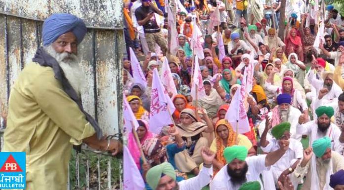 ਬਿਜਲੀ ਕੱਟਾਂ ਤੋਂ ਪ੍ਰੇਸ਼ਾਨ ਕਿਸਾਨਾਂ ਨੇ ਜਲੰਧਰ ਦੇ ਸ਼ਕਤੀ ਸਦਨ ਦਫਤਰ ਅੰਦਰ ਮੁਲਾਜ਼ਮ ਡੱਕੇ, ਕਿਹਾ- ਜਦੋਂ ਤੱਕ ਬੱਤੀ ਨਹੀਂ ਆਉਂਦੀ ਸਾਡੇ ਨਾਲ ਹੀ ਰੁਕੋ