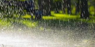 ਪੰਜਾਬ ‘ਚ ਆਇਆ ਮੌਨਸੂਨ, ਮੌਸਮ ਹੋਇਆ ਠੰਡਾ, ਜਾਣੋ ਪੂਰੇ ਹਫਤੇ ਕਿਹੋ ਜਿਹਾ ਰਹੇਗਾ ਮੌਸਮ