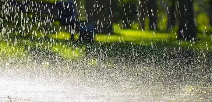 ਪੰਜਾਬ ‘ਚ ਆਇਆ ਮੌਨਸੂਨ, ਮੌਸਮ ਹੋਇਆ ਠੰਡਾ, ਜਾਣੋ ਪੂਰੇ ਹਫਤੇ ਕਿਹੋ ਜਿਹਾ ਰਹੇਗਾ ਮੌਸਮ