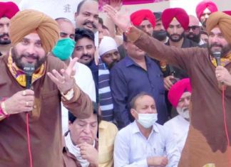 Video : ਪ੍ਰਧਾਨ ਬਣਨ ਤੋਂ ਬਾਅਦ ਜਲੰਧਰ ਪਹੁੰਚੇ ਨਵਜੋਤ ਸਿੱਧੂ ਦਾ ਸੁਣੋ ਧਮਾਕੇਦਾਰ ਭਾਸ਼ਣ, ਬਿਨਾਂ ਨਾਂ ਲਏ ਅਕਾਲੀਆਂ ਨੂੰ ਲਾਏ ਰਗੜੇ