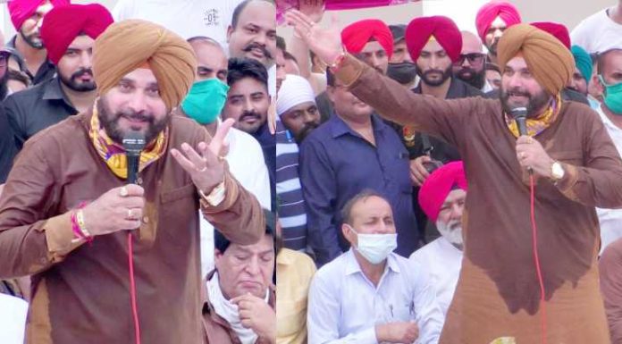 Video : ਪ੍ਰਧਾਨ ਬਣਨ ਤੋਂ ਬਾਅਦ ਜਲੰਧਰ ਪਹੁੰਚੇ ਨਵਜੋਤ ਸਿੱਧੂ ਦਾ ਸੁਣੋ ਧਮਾਕੇਦਾਰ ਭਾਸ਼ਣ, ਬਿਨਾਂ ਨਾਂ ਲਏ ਅਕਾਲੀਆਂ ਨੂੰ ਲਾਏ ਰਗੜੇ