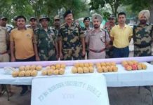ਭਾਰਤ-ਪਾਕਿ ਬਾਰਡਰ ਤੋਂ BSF ਨੇ ਫੜੀ 40 ਕਿੱਲੋ ਹੈਰੋਇਨ ਤੇ ਅਫੀਮ, ਫਾਇਰਿੰਗ ਤੋਂ ਬਾਅਦ ਭੱਜੇ ਸਮੱਗਲਰ