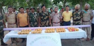 ਭਾਰਤ-ਪਾਕਿ ਬਾਰਡਰ ਤੋਂ BSF ਨੇ ਫੜੀ 40 ਕਿੱਲੋ ਹੈਰੋਇਨ ਤੇ ਅਫੀਮ, ਫਾਇਰਿੰਗ ਤੋਂ ਬਾਅਦ ਭੱਜੇ ਸਮੱਗਲਰ