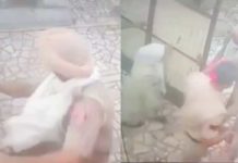 ਮੁਕਤਸਰ ‘ਚ ਪੁਲਿਸ ਦਾ ਕਾਰਨਾਮਾ : ਬਿਨਾਂ ਸਰਚ ਵਾਰੰਟ ਦੇ ਘਰ ਦਾ ਗੇਟ ਟੱਪ ਕੇ ਅੰਦਰ ਵੜੇ ਮੁਲਾਜ਼ਮ, ਘਰ ‘ਚ ਇਕੱਲੀਆਂ ਸਨ ਔਰਤਾਂ, ਵੀਡੀਓ ਵਾਇਰਲ