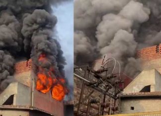 ਜਲੰਧਰ : ਸੋਢਲ ਰੋਡ ‘ਤੇ ਗਲੋਬਲ ਕਾਲੋਨੀ ਦੀ ਫੈਕਟਰੀ ‘ਚ ਲੱਗੀ ਭਿਆਨਕ ਅੱਗ, ਵੇਖੋ ਵੀਡੀਓ