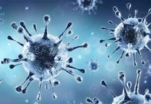 Corona Virus : ਪੰਜਾਬ ‘ਚ ਅੱਜ ਤੋਂ ਸਖਤੀ ਲਾਗੂ, ਸੂਬੇ ‘ਚ ਦਾਖਲ ਹੋਣ ਲਈ ਕੋਵਿਡ ਟੀਕਾਕਰਨ ਦਾ ਸਰਟੀਫਿਕੇਟ ਜਾਂ RT-PCR ਦੀ ਨੈਗੇਟਿਵ ਰਿਪੋਰਟ ਲਾਜ਼ਮੀ