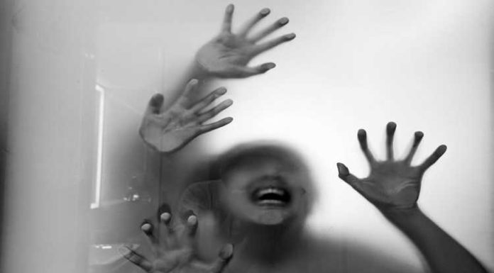 ਫਿਰੋਜ਼ਪੁਰ ‘ਚ ਵਾਪਰੀ ਸ਼ਰਮਨਾਕ ਘਟਨਾ : ਕਮਰੇ ‘ਚ ਪਤੀ ਨੂੰ ਬੰਦ ਕਰਕੇ ਪਤਨੀ ਨਾਲ ਗੈਂਗਰੇਪ