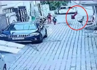 ਛੱਤ ‘ਤੇ ਖੇਡ ਰਹੀ 8 ਸਾਲ ਦੀ ਬੱਚੀ ਗਲੀ ‘ਚ ਡਿੱਗੀ, ਘਟਨਾ CCTV ‘ਚ ਕੈਦ, ਗੰਭੀਰ ਜ਼ਖਮੀ