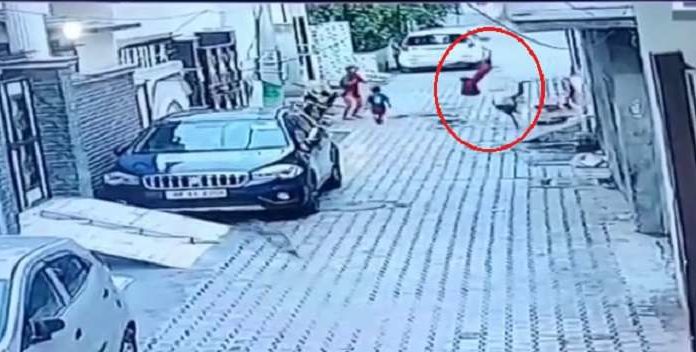 ਛੱਤ ‘ਤੇ ਖੇਡ ਰਹੀ 8 ਸਾਲ ਦੀ ਬੱਚੀ ਗਲੀ ‘ਚ ਡਿੱਗੀ, ਘਟਨਾ CCTV ‘ਚ ਕੈਦ, ਗੰਭੀਰ ਜ਼ਖਮੀ