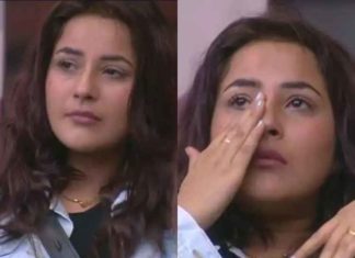 ਸਿਧਾਰਥ ਸ਼ੁਕਲਾ ਦੀ ਮੌਤ ਤੋਂ ਬਾਅਦ ਟੁੱਟੀ ‘ਸਿਡਨਾਜ਼’ ਦੀ ਜੋੜੀ, ਇਕੱਲੀ ਰਹਿ ਗਈ ਸ਼ਹਿਨਾਜ਼ ਗਿੱਲ