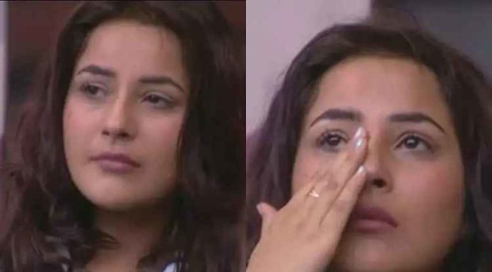 ਸਿਧਾਰਥ ਸ਼ੁਕਲਾ ਦੀ ਮੌਤ ਤੋਂ ਬਾਅਦ ਟੁੱਟੀ ‘ਸਿਡਨਾਜ਼’ ਦੀ ਜੋੜੀ, ਇਕੱਲੀ ਰਹਿ ਗਈ ਸ਼ਹਿਨਾਜ਼ ਗਿੱਲ