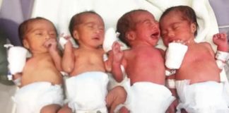 7 ਮਹੀਨਿਆਂ ਦੀ ਗਰਭਵਤੀ ਨੇ ਦਿੱਤਾ 4 ਬੱਚਿਆਂ ਨੂੰ ਜਨਮ, ਮਾਂ ਤੇ ਚਾਰੋਂ ਬੱਚੇ ਸਹੀ-ਸਲਾਮਤ