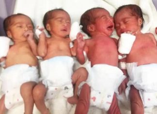 7 ਮਹੀਨਿਆਂ ਦੀ ਗਰਭਵਤੀ ਨੇ ਦਿੱਤਾ 4 ਬੱਚਿਆਂ ਨੂੰ ਜਨਮ, ਮਾਂ ਤੇ ਚਾਰੋਂ ਬੱਚੇ ਸਹੀ-ਸਲਾਮਤ