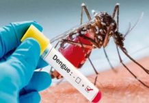 ਕੋਰੋਨਾ ਤੋਂ ਬਾਅਦ ਹੁਣ ਡੇਂਗੂ ਦਾ ਕਹਿਰ, ਪੰਜਾਬ ‘ਚ ਤੇਜ਼ੀ ਨਾਲ ਵੱਧ ਰਹੇ ਡੇਂਗੂ ਦੇ ਮਰੀਜ਼