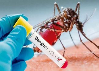 ਕੋਰੋਨਾ ਤੋਂ ਬਾਅਦ ਹੁਣ ਡੇਂਗੂ ਦਾ ਕਹਿਰ, ਪੰਜਾਬ ‘ਚ ਤੇਜ਼ੀ ਨਾਲ ਵੱਧ ਰਹੇ ਡੇਂਗੂ ਦੇ ਮਰੀਜ਼
