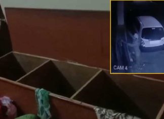 ਜਲੰਧਰ : ਪਰਿਵਾਰ ਗਿਆ ਹੋਇਆ ਸੀ ਵਿਆਹ, ਪਿੱਛੋਂ ਲੱਖਾਂ ਦਾ ਸੋਨਾ ਲੁੱਟ ਕੇ ਲੈ ਗਏ ਚੋਰ, ਘਟਨਾ ਸੀਸੀਟੀਵੀ ਕੈਮਰੇ ‘ਚ ਕੈਦ