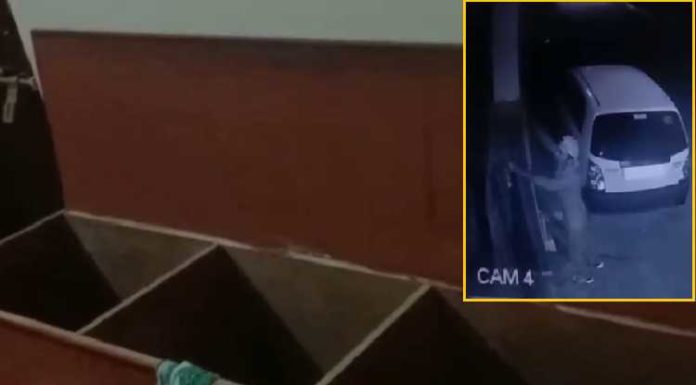 ਜਲੰਧਰ : ਪਰਿਵਾਰ ਗਿਆ ਹੋਇਆ ਸੀ ਵਿਆਹ, ਪਿੱਛੋਂ ਲੱਖਾਂ ਦਾ ਸੋਨਾ ਲੁੱਟ ਕੇ ਲੈ ਗਏ ਚੋਰ, ਘਟਨਾ ਸੀਸੀਟੀਵੀ ਕੈਮਰੇ ‘ਚ ਕੈਦ