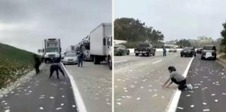 USA : ਹਾਈਵੇਅ ‘ਤੇ ਅਚਾਨਕ ਹੋਈ ਨੋਟਾਂ ਦੀ ਬਰਸਾਤ, ਗੱਡੀਆਂ ਖੜ੍ਹੀਆਂ ਕਰ ਲੋਕ ਲੱਗੇ ਲੁੱਟਣ