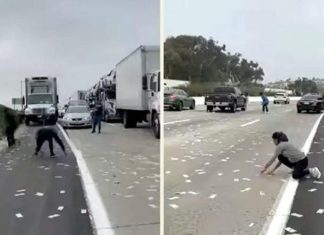 USA : ਹਾਈਵੇਅ ‘ਤੇ ਅਚਾਨਕ ਹੋਈ ਨੋਟਾਂ ਦੀ ਬਰਸਾਤ, ਗੱਡੀਆਂ ਖੜ੍ਹੀਆਂ ਕਰ ਲੋਕ ਲੱਗੇ ਲੁੱਟਣ