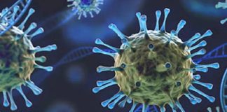 Dangers Omicron : ਦੁਬਈ ਤੋਂ ਪਰਤਿਆ ਲੁਧਿਆਣਾ ਦਾ ਕਾਰੋਬਾਰੀ ਨਿਕਲਿਆ ਕੋਰੋਨਾ ਪਾਜ਼ੇਟਿਵ, 14 ਦਿਨਾਂ ਲਈ ਕੀਤਾ ਗਿਆ ਆਈਸੋਲੇਟ