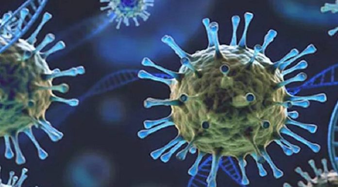 ਦੱਖਣੀ ਅਫਰੀਕਾ ਤੋਂ ਚੰਡੀਗੜ੍ਹ ਪਰਤਿਆ ਵਿਅਕਤੀ Corona Positive, ਪਰਿਵਾਰ ਦਾ ਇਕ ਮੈਂਬਰ ਤੇ ਘਰੇਲੂ ਨੌਕਰ ਵੀ ਕੋਰੋਨਾ ਸੰਕਰਮਿਤ