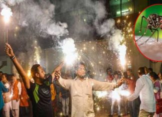 ਦੀਵਾਲੀ ਦੇ ਧੂੰਏ ‘ਚ ਮਰਣਗੇ ਡੇਂਗੂ ਦੇ ਮੱਛਰ, ਪੜ੍ਹੋ ਡਾਕਟਰਾਂ ਦਾ ਕੀ ਹੈ ਇਸ ਬਾਰੇ ਕਹਿਣਾ