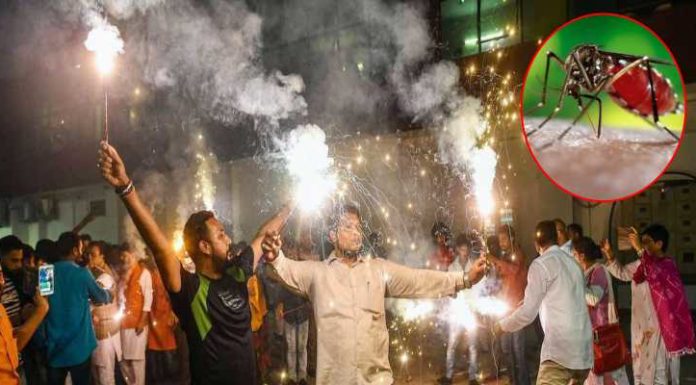 ਦੀਵਾਲੀ ਦੇ ਧੂੰਏ ‘ਚ ਮਰਣਗੇ ਡੇਂਗੂ ਦੇ ਮੱਛਰ, ਪੜ੍ਹੋ ਡਾਕਟਰਾਂ ਦਾ ਕੀ ਹੈ ਇਸ ਬਾਰੇ ਕਹਿਣਾ