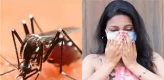 ਪੰਜਾਬ ‘ਚ ਤੇਜ਼ੀ ਨਾਲ ਫੈਲ ਰਿਹਾ ਡੇਂਗੂ, ਜੇ ਤੁਹਾਡੇ ਸਰੀਰ ‘ਚ ਵੀ ਨਜ਼ਰ ਆਉਣ ਇਹ ਲੱਛਣ ਤਾਂ ਤੁਰੰਤ ਕਰਵਾਓ ਇਲਾਜ