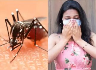 ਪੰਜਾਬ ‘ਚ ਤੇਜ਼ੀ ਨਾਲ ਫੈਲ ਰਿਹਾ ਡੇਂਗੂ, ਜੇ ਤੁਹਾਡੇ ਸਰੀਰ ‘ਚ ਵੀ ਨਜ਼ਰ ਆਉਣ ਇਹ ਲੱਛਣ ਤਾਂ ਤੁਰੰਤ ਕਰਵਾਓ ਇਲਾਜ
