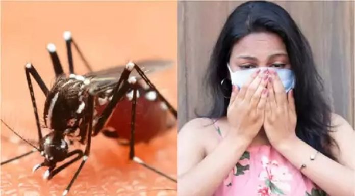 ਪੰਜਾਬ ‘ਚ ਤੇਜ਼ੀ ਨਾਲ ਫੈਲ ਰਿਹਾ ਡੇਂਗੂ, ਜੇ ਤੁਹਾਡੇ ਸਰੀਰ ‘ਚ ਵੀ ਨਜ਼ਰ ਆਉਣ ਇਹ ਲੱਛਣ ਤਾਂ ਤੁਰੰਤ ਕਰਵਾਓ ਇਲਾਜ