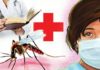 ਤੇਜ਼ੀ ਨਾਲ ਫੈਲ ਰਿਹਾ ਡੇਂਗੂ, ਜਾਣੋ ਕਦੋਂ ਜਾਣਾ ਚਾਹੀਦਾ ਹੈ ਹਸਪਤਾਲ