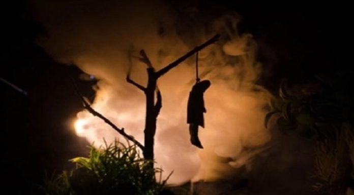 ਪੰਜਾਬ ਦੇ ਕਿਸਾਨ ਦੀ ਕੁੰਡਲੀ ਬਾਰਡਰ ‘ਤੇ ਲਟਕਦੀ ਮਿਲੀ ਲਾਸ਼, ਜਾਂਚ ‘ਚ ਜੁਟੀ ਪੁਲਿਸ, ਫਤਿਹਗੜ੍ਹ ਸਾਹਿਬ ਦਾ ਰਹਿਣ ਵਾਲਾ ਸੀ ਮ੍ਰਿਤਕ