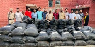 ਮੋਗਾ ਪੁਲਸ ਵੱਲੋਂ 18 ਕੁਇੰਟਲ ਚੂਰਾ-ਪੋਸਤ ਬਰਾਮਦ, 11 ਵਿਰੁੱਧ ਕੇਸ ਦਰਜ