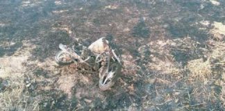 ਮੋਗਾ : ਪਰਾਲੀ ਨੂੰ ਲਾਈ ਅੱਗ ਕਾਰਨ ਮੋਟਰਸਾਈਕਲ ਸੜ ਕੇ ਸੁਆਹ, ਵਾਲ-ਵਾਲ ਬਚਿਆ ਚਾਲਕ