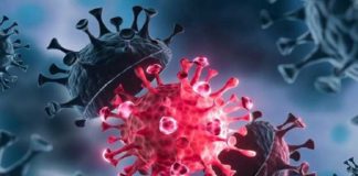 ਖੋਜ ‘ਚ ਦਾਅਵਾ : ਕੋਰੋਨਾ ਤੋਂ ਬਾਅਦ ਹੋ ਸਕਦੀ ਹੈ ‘ਫੇਸ ਬਲਾਇੰਡਨੈੱਸ’ ਦੀ ਸਮੱਸਿਆ