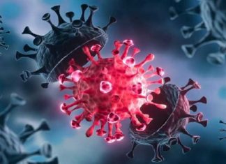 ਖੋਜ ‘ਚ ਦਾਅਵਾ : ਕੋਰੋਨਾ ਤੋਂ ਬਾਅਦ ਹੋ ਸਕਦੀ ਹੈ ‘ਫੇਸ ਬਲਾਇੰਡਨੈੱਸ’ ਦੀ ਸਮੱਸਿਆ