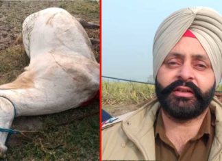 ਸ਼ਿਕਾਰ ਖੇਡਣ ਦੇ ਚੱਕਰ ‘ਚ ਗੁਰਦੁਆਰਾ ਸਾਹਿਬ ਦੇ ਘੋੜੇ ਨੂੰ ਮਾਰੀ ਗੋਲੀ, ਮੌਤ