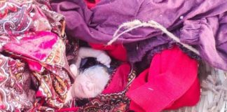 ਮੇਰਾ ਕੀ ਕਸੂਰ : ਕੂੜੇ ਦੇ ਢੇਰ ‘ਚੋਂ ਮਿਲੀ ਨਵਜੰਮੀ ਬੱਚੀ ਦੀ ਲਾਸ਼, ਜਲੰਧਰ ਦੇ ਪ੍ਰਤਾਪ ਬਾਗ ਨੇੜੇ ਮਾਨਵਤਾ ਨੂੰ ਸ਼ਰਮਸਾਰ ਕਰਨ ਵਾਲੀ ਘਟਨਾ